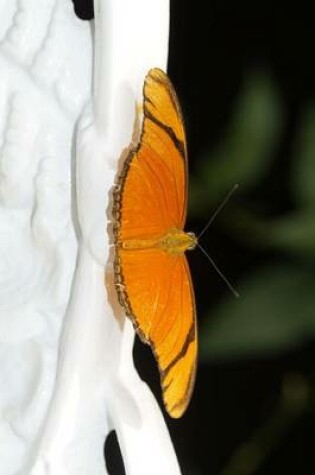 Cover of Julia Butterfly on a Chair, for the Love of Nature