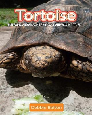 Book cover for Tortoise