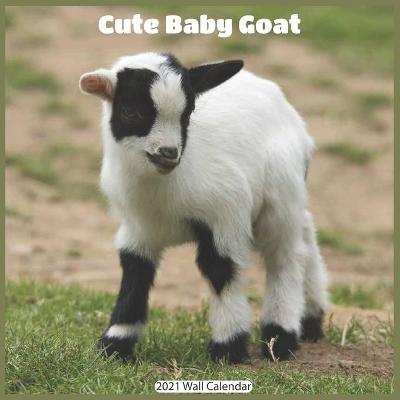 Book cover for Cute Baby Goat 2021 Wall Calendar