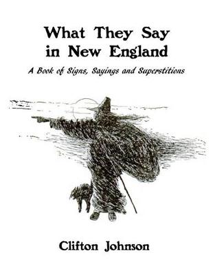 Book cover for What They Say in New England