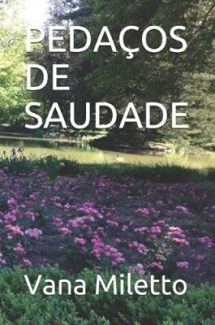 Cover of Pedaços de Saudade