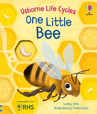 Book cover for One Little Bee