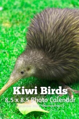 Cover of Kiwi Birds 8.5 X 8.5 Calendar September 2021 -December 2022