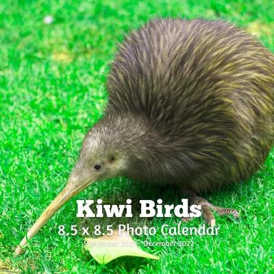 Book cover for Kiwi Birds 8.5 X 8.5 Calendar September 2021 -December 2022