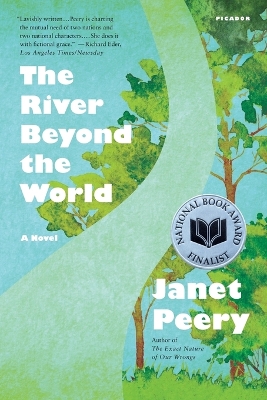 Book cover for The River beyond the World