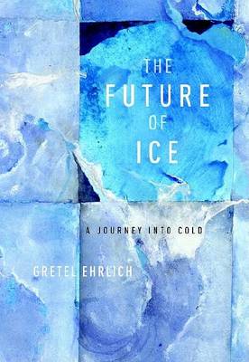 Book cover for The Future of Ice
