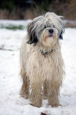 Book cover for The Tibetan Terrier Dog Journal