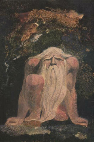 Cover of The Illuminated Books of William Blake, Volume 6