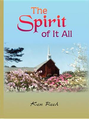 Book cover for The Spirit of It All