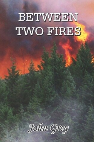 Cover of Between Two Fires