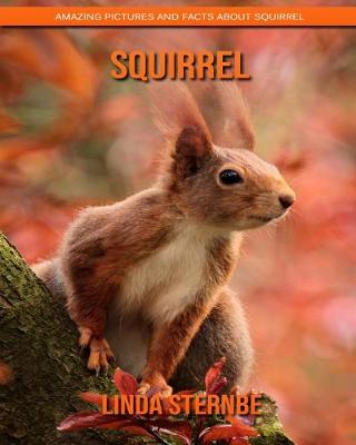 Book cover for Squirrel