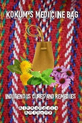 Book cover for Kokum's Medicine Bag