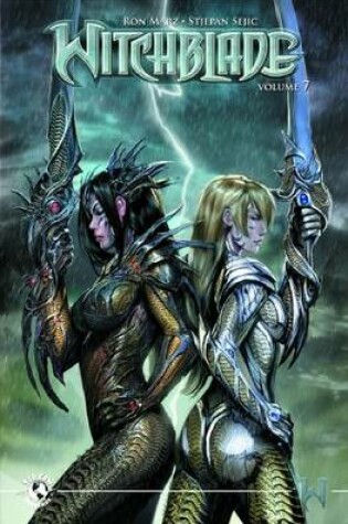 Cover of Witchblade Volume 7