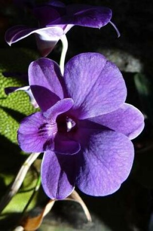 Cover of Dendrobium Purple Orchid, for the Love of Flowers