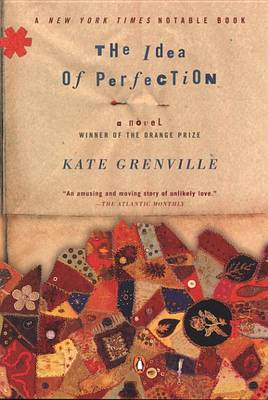 Book cover for The Idea of Perfection