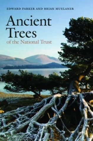 Cover of Ancient Trees of the National Trust