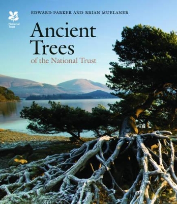 Book cover for Ancient Trees of the National Trust