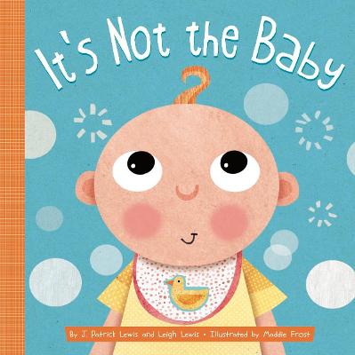 Book cover for It's Not the Baby