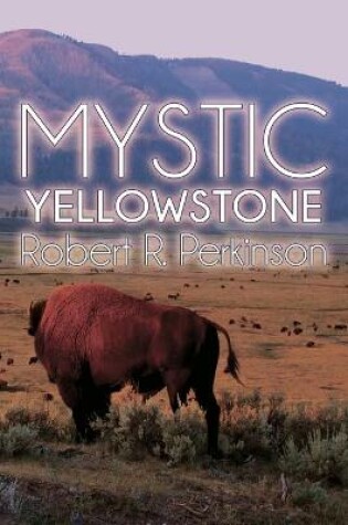 Cover of Mystic