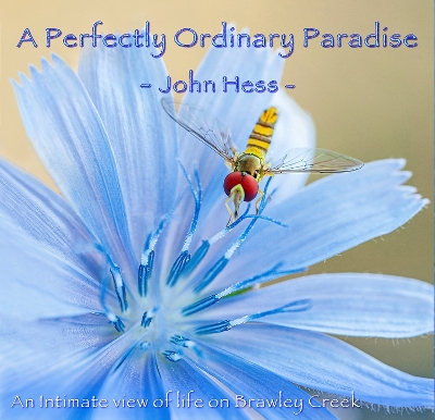 Book cover for A Perfectly Ordinary Paradise