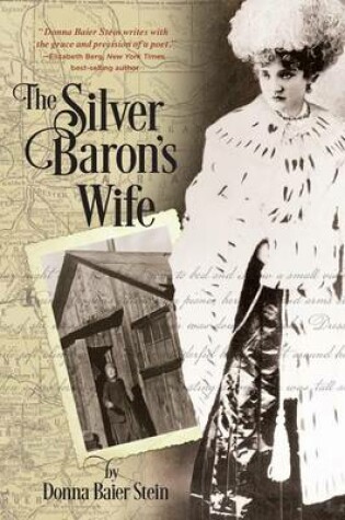 Cover of The Silver Baron's Wife