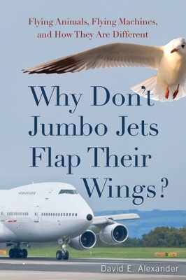 Book cover for Why Don't Jumbo Jets Flap Their Wings?