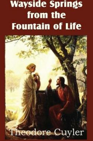 Cover of Wayside Springs from the Fountain of Life