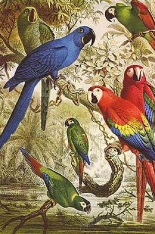 Cover of A Painting of Macaws