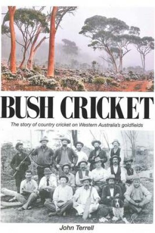 Cover of Bush Cricket