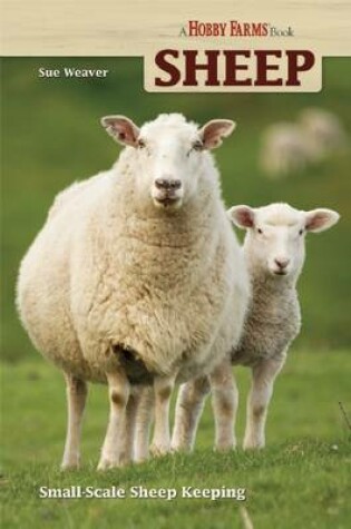 Cover of Sheep