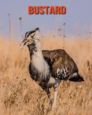 Book cover for Bustard