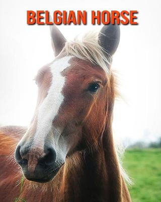 Book cover for Belgian Horse
