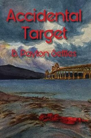 Cover of Accidental Target