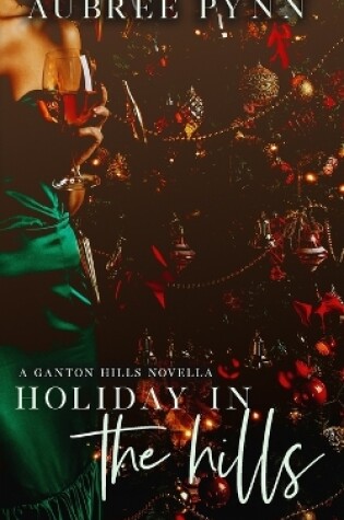 Cover of Holiday in the Hills