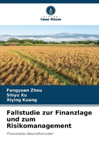 Cover of Fallstudie zur Finanzlage und zum Risikomanagement