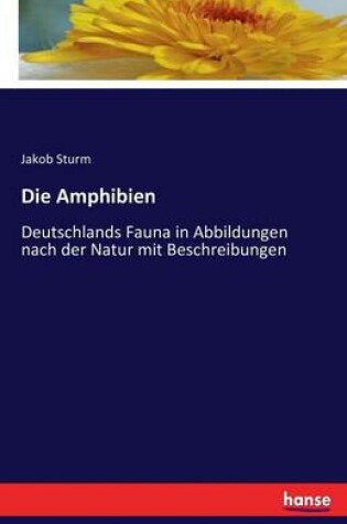 Cover of Die Amphibien