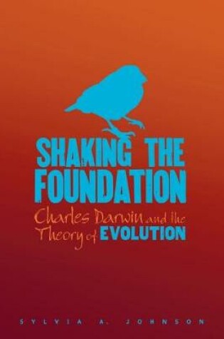 Cover of Shaking The Foundation
