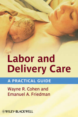 Cover of Labor and Delivery Care