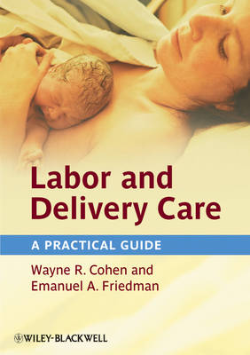 Book cover for Labor and Delivery Care