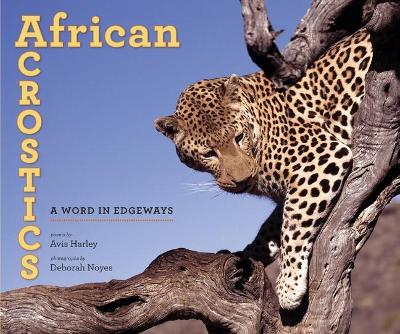 Book cover for African Acrostics
