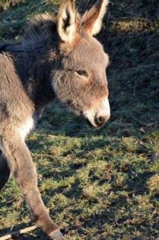 Cover of Such a Precious Baby Donkey Journal