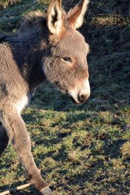 Book cover for Such a Precious Baby Donkey Journal