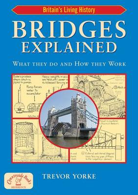 Book cover for Bridges Explained