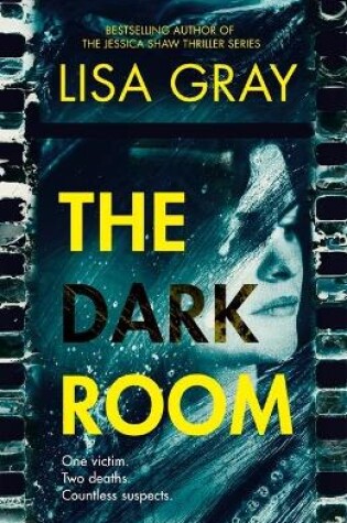 Cover of The Dark Room