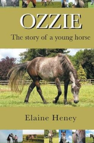 Cover of Ozzie - The Story of a Young Horse