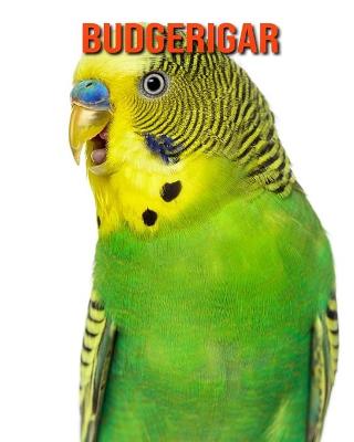 Book cover for Budgerigar