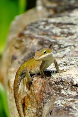 Book cover for Lime Lizard Pretty Blank Lined Journal for daily thoughts notebook Lovely Lake Arrowhead Photograph