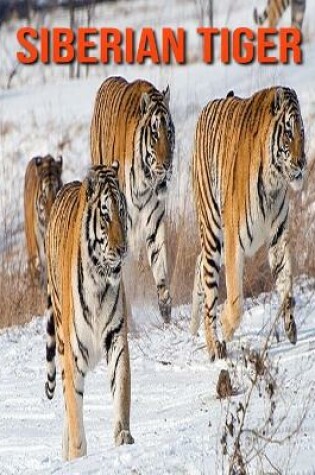 Cover of Siberian Tiger