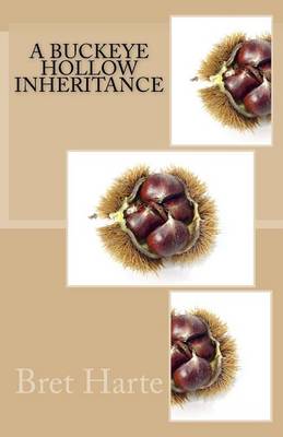 Book cover for A Buckeye Hollow Inheritance