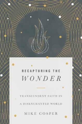 Cover of Recapturing the Wonder